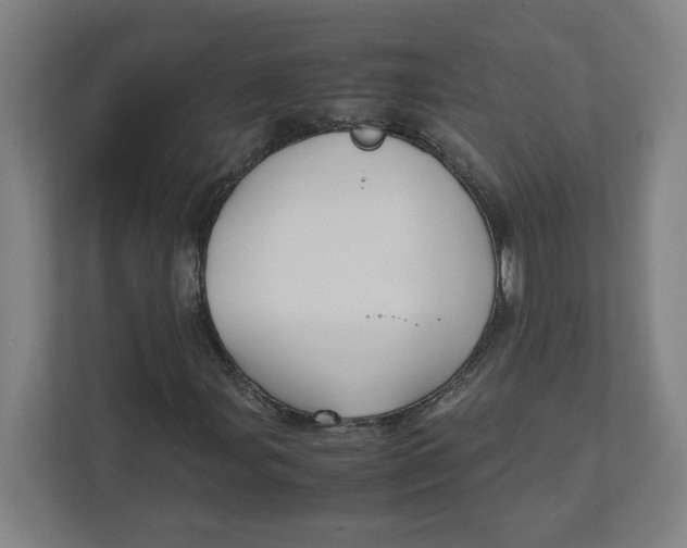 X0000111951107200908171312