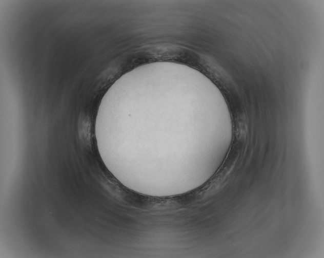 X0000111951108200908171312