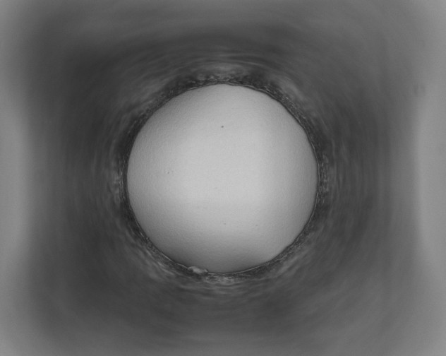 X0000111951109200908171312