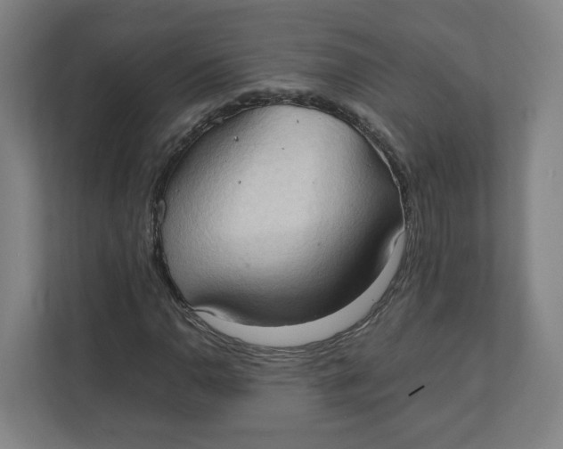 X0000111951110200908171312