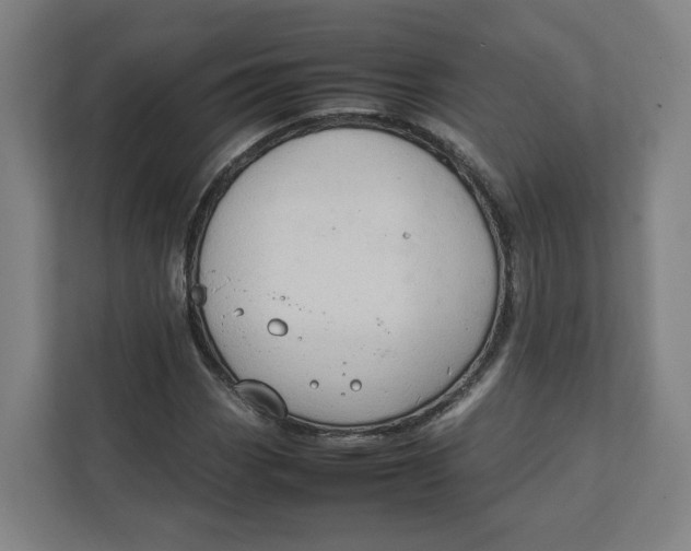 X0000111951113200908171312