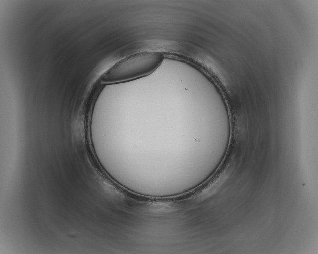 X0000111951114200908171312