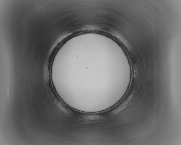 X0000111951117200908171312