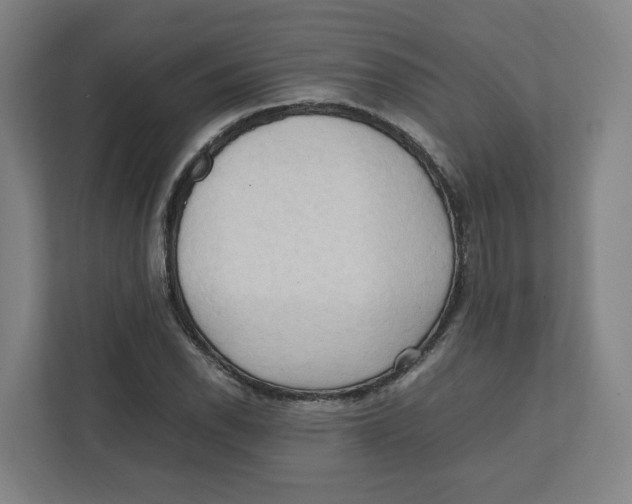 X0000111951118200908171312