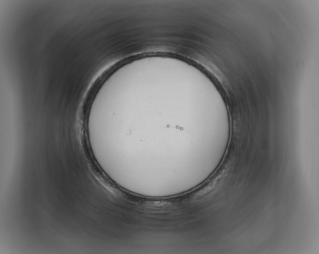 X0000111951119200908171312