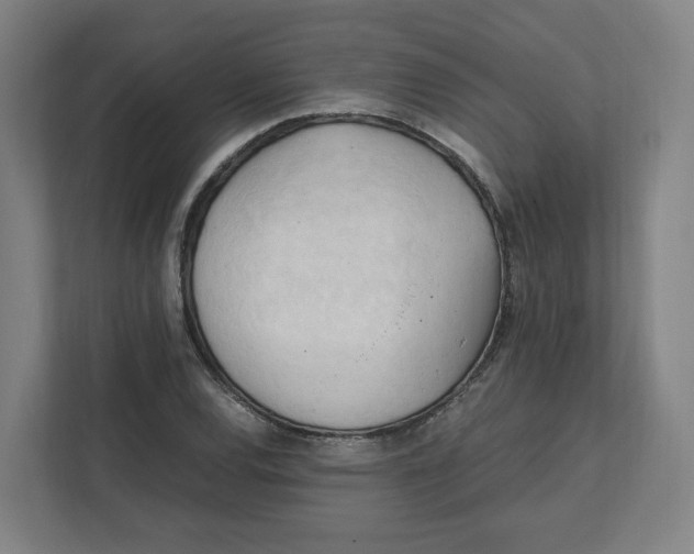 X0000111951120200908171312