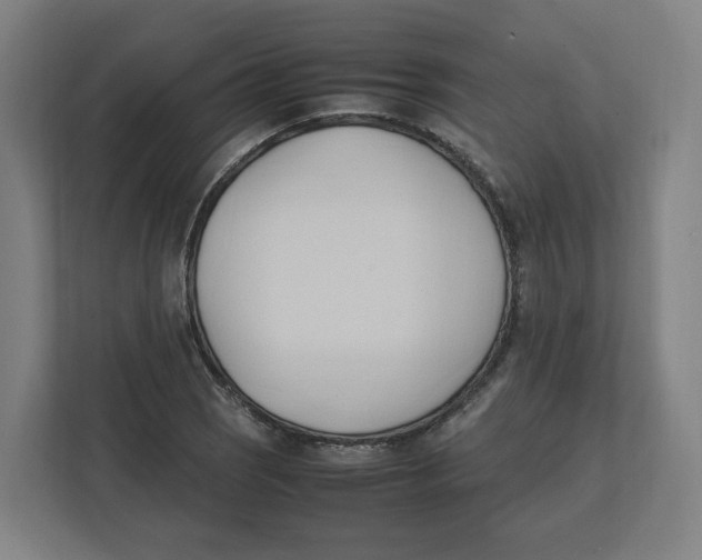 X0000111951121200908171312