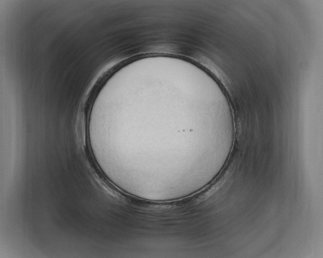 X0000111951123200908171312