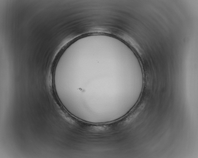 X0000111951125200908171312