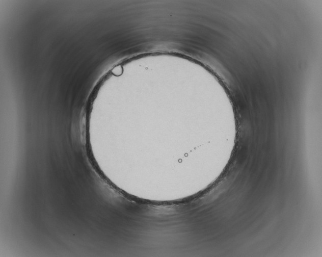 X0000111951126200908171312