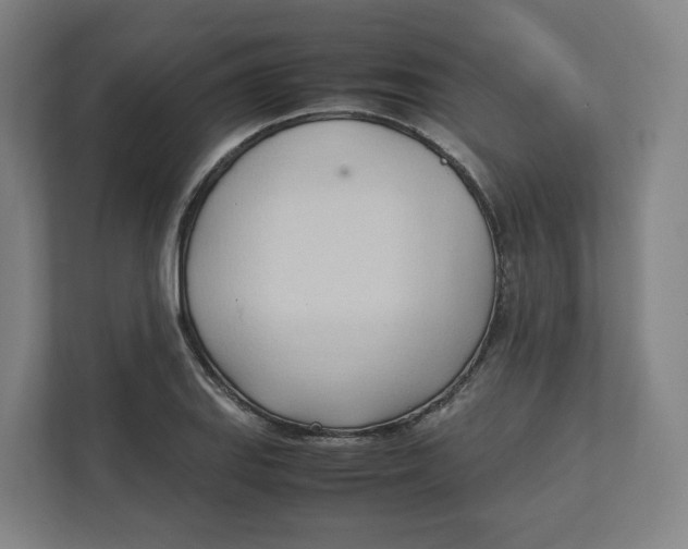 X0000111951127200908171312