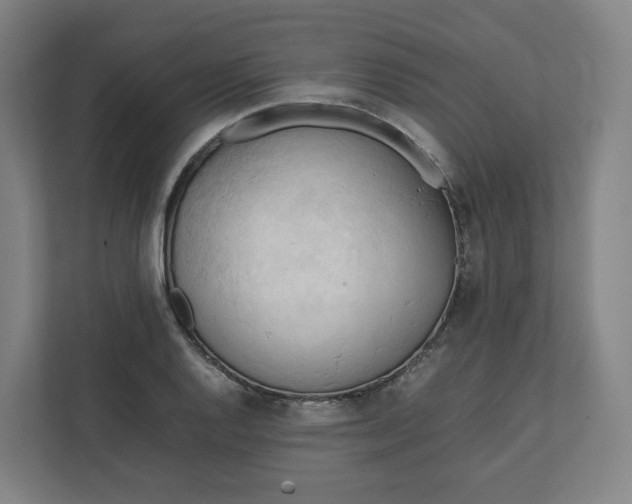 X0000111951128200908171312