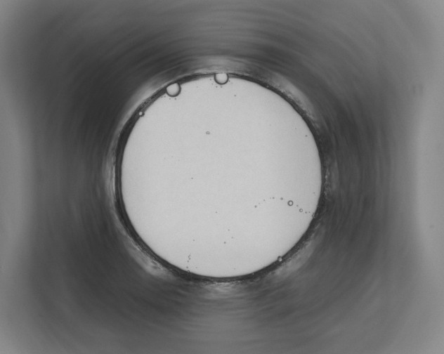 X0000111951130200908171312