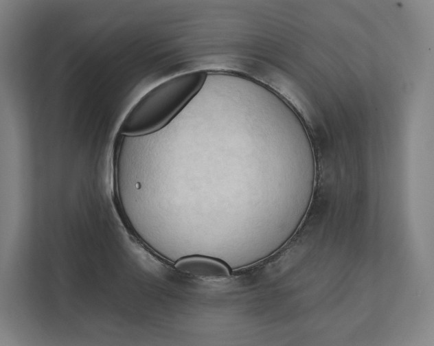 X0000111951132200908171312