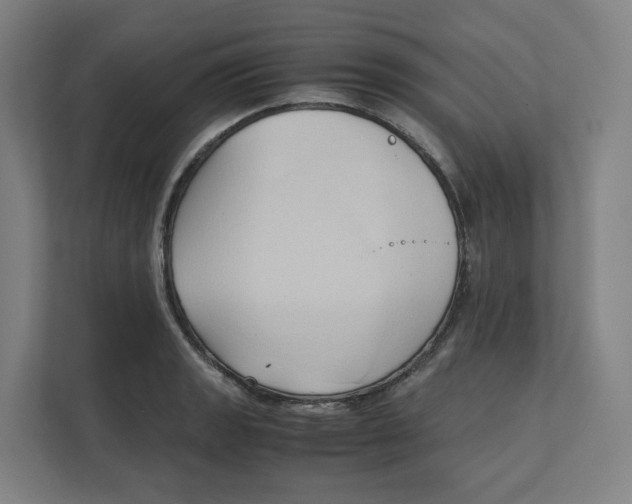 X0000111951133200908171312