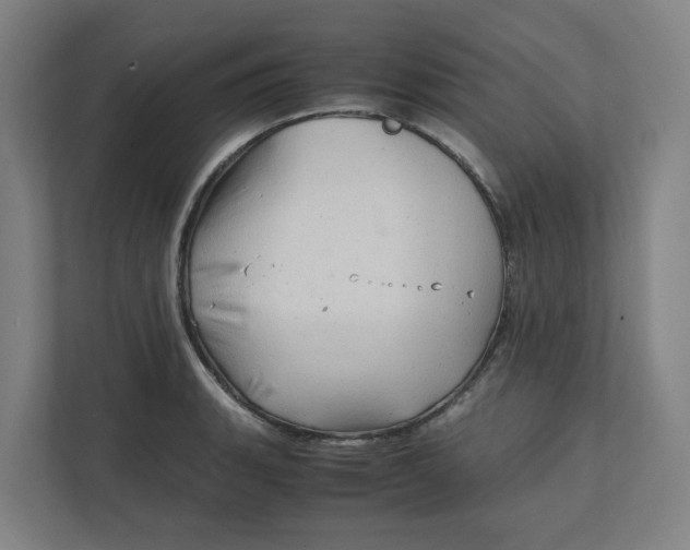 X0000111951135200908171312