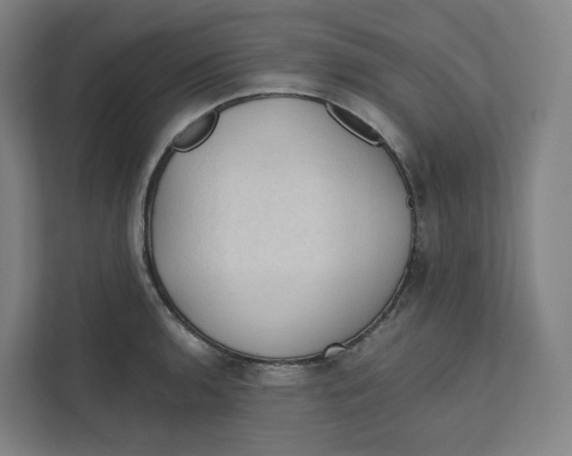 X0000111951136200908171312