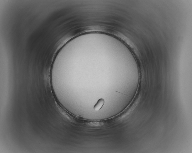 X0000111951137200908171312