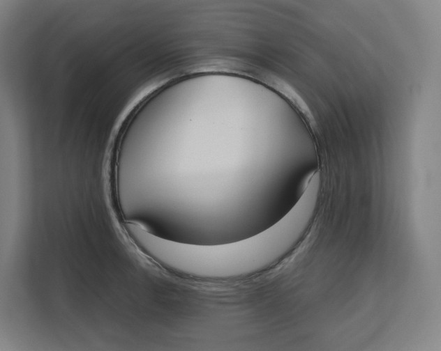 X0000111951138200908171312