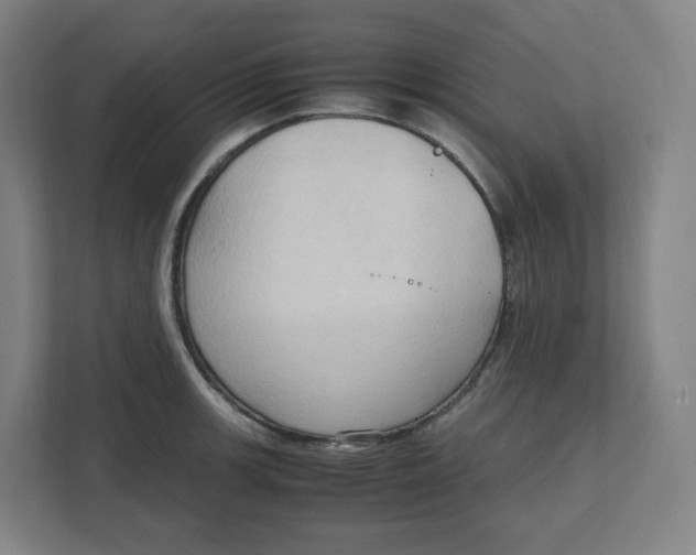 X0000111951139200908171312