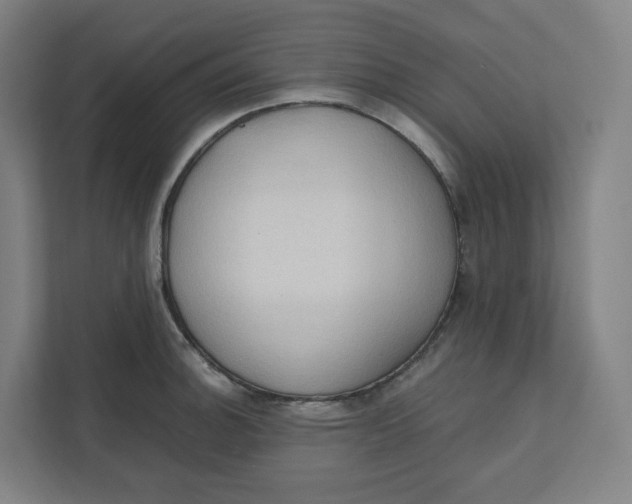 X0000111951140200908171312