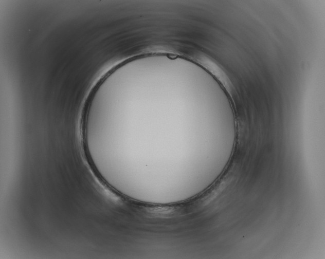 X0000111951141200908171312