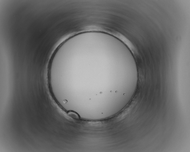 X0000111951142200908171312