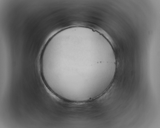 X0000111951143200908171312