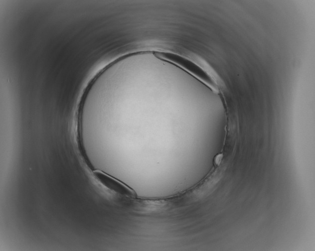 X0000111951144200908171312