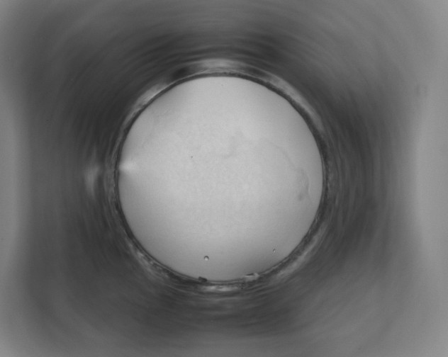 X0000111951145200908171312