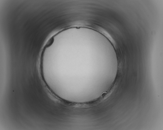 X0000111951146200908171312