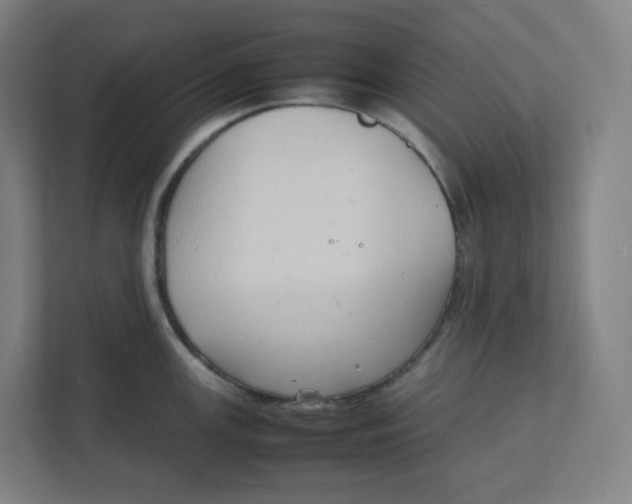 X0000111951147200908171312