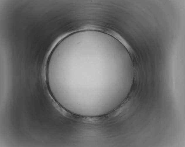 X0000111951148200908171312