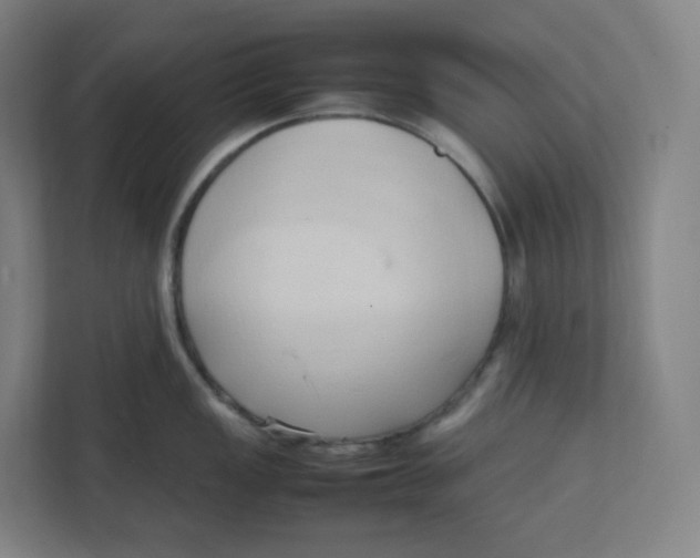 X0000111951149200908171312