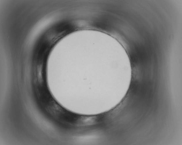 X0000111951150200908171312