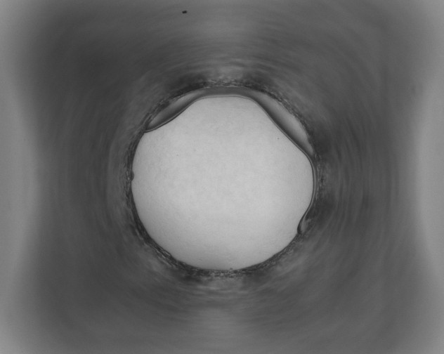 X0000111951153200908171312