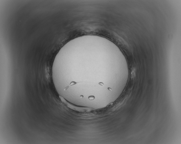 X0000111951156200908171312