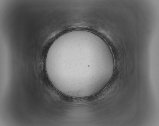 X0000111951159200908171312