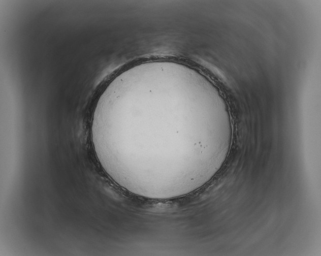 X0000111951160200908171312