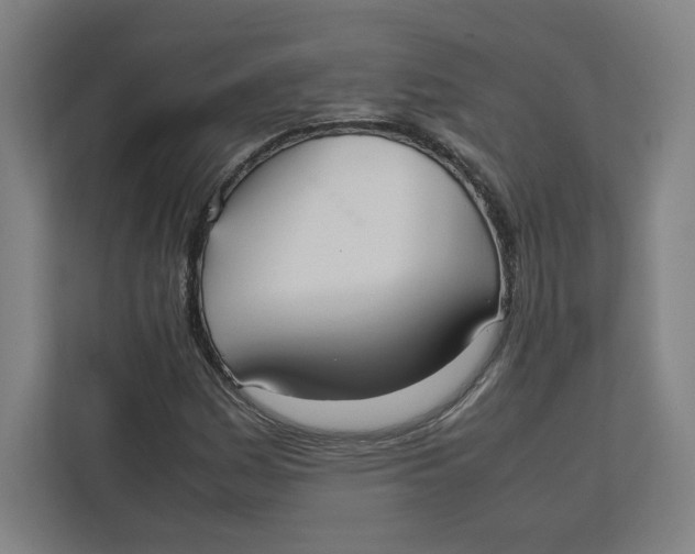 X0000111951161200908171312