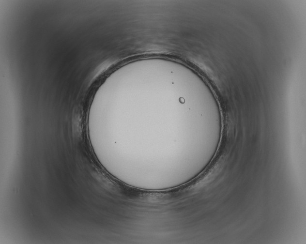 X0000111951163200908171312