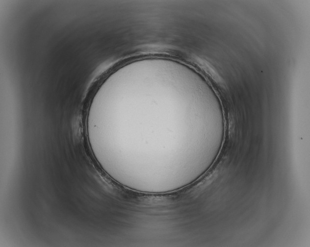 X0000111951164200908171312