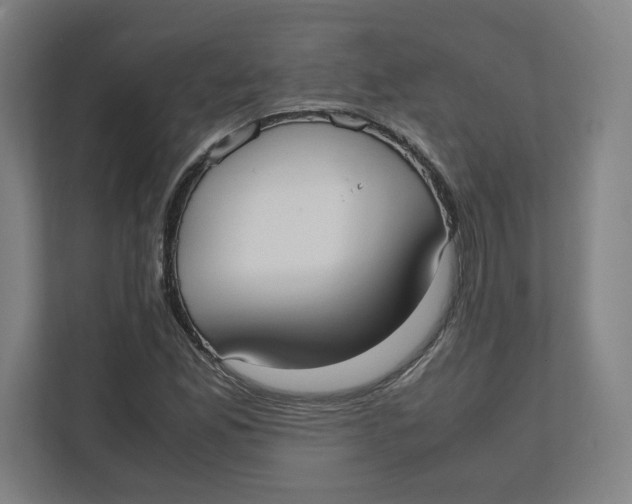 X0000111951165200908171312