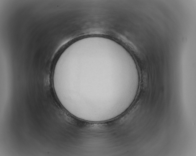 X0000111951166200908171312