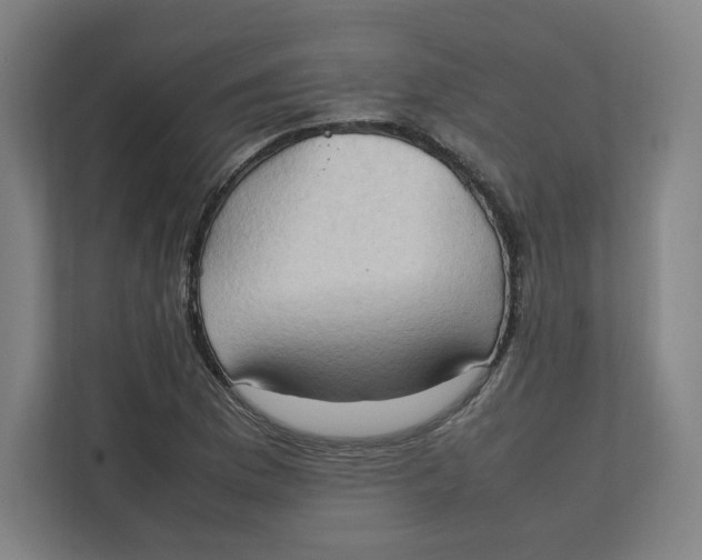 X0000111951169200908171312