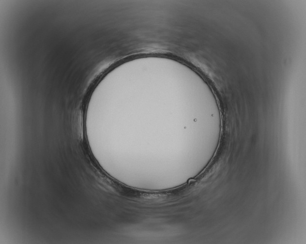 X0000111951171200908171312