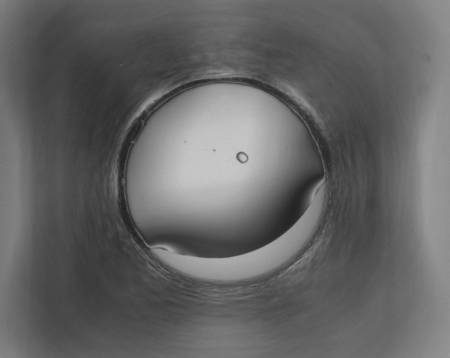 X0000111951173200908171312