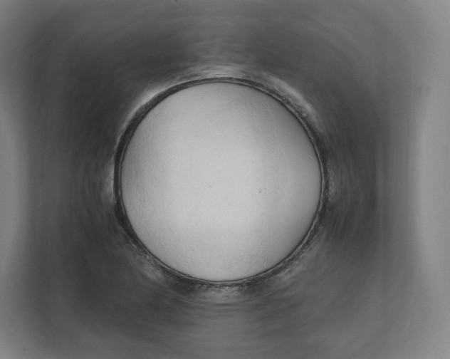 X0000111951174200908171312