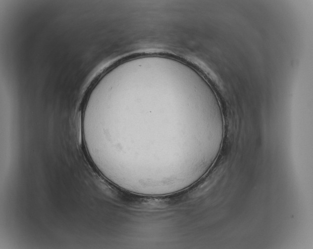 X0000111951175200908171311