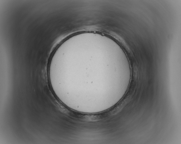 X0000111951176200908171311